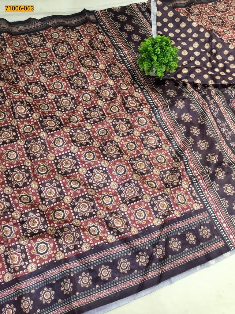 Kalamkari Soft Linen Silk Saree