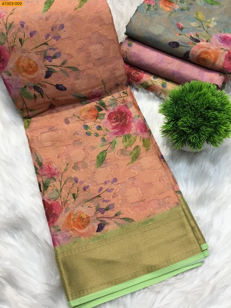 Digital Printed Organza Chiffon Silk Saree